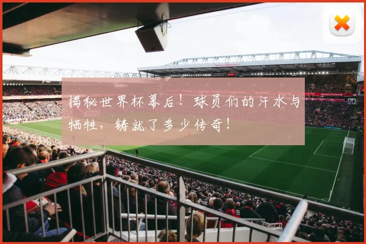 揭秘世界杯幕后！球员们的汗水与牺牲，铸就了多少传奇！